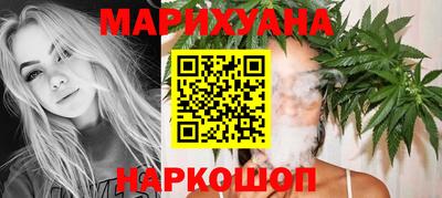 гидра Кингисепп