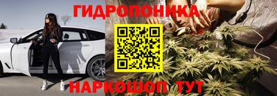 спайс Кинель