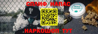 гидра Кингисепп