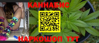 гидра Кингисепп