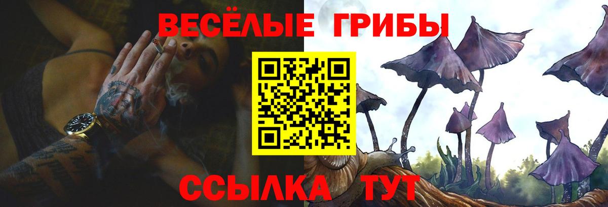 Псилоцибиновые грибы ЛСД  Вход с VPN  Краснознаменск  Галлюциногенные грибы MAGIC MUSHROOMS 